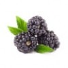 Blackberry